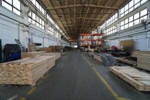 forest---104Forestproduction