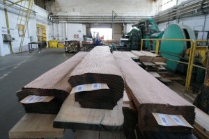 forest---116Forestproduction