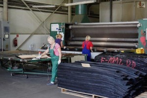 forest---131Forestproduction