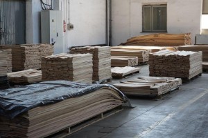forest---137Forestproduction