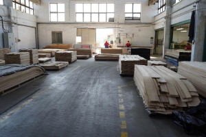 forest---139Forestproduction