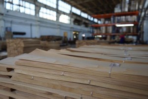 forest---140Forestproduction