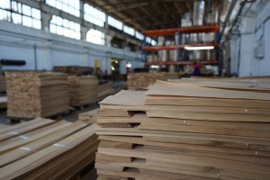 forest---142Forestproduction