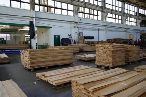 forest---143Forestproduction