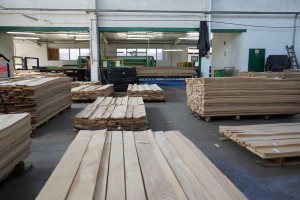 forest---144Forestproduction