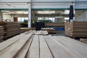 forest---145Forestproduction