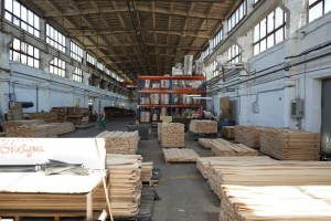 forest---146Forestproduction