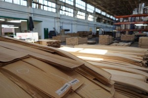 forest---148Forestproduction