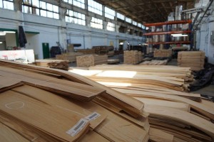 forest---149Forestproduction
