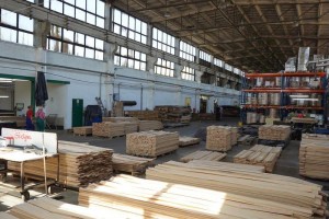 forest---151Forestproduction
