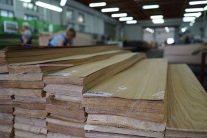 forest---161Forestproduction