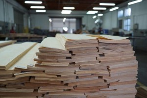 forest---167Forestproduction